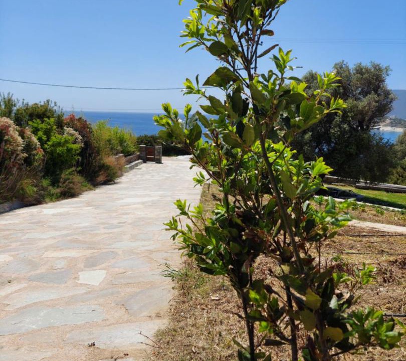 Photo of Others in Karystos