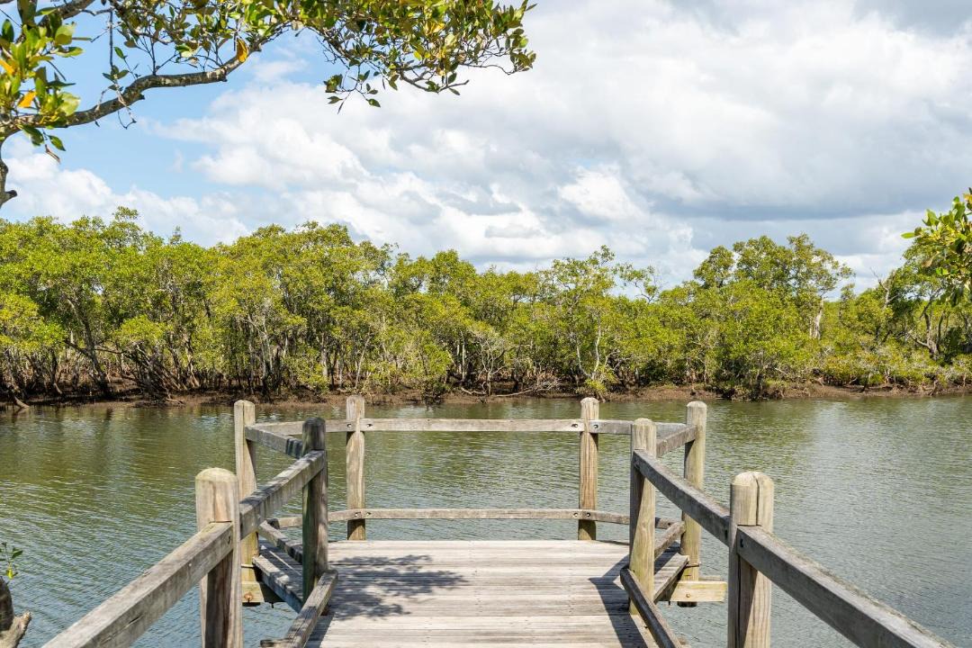 Photo of Others in Nudgee Beach