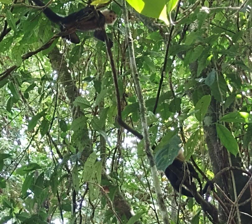 Photo of Others in Drake Bay