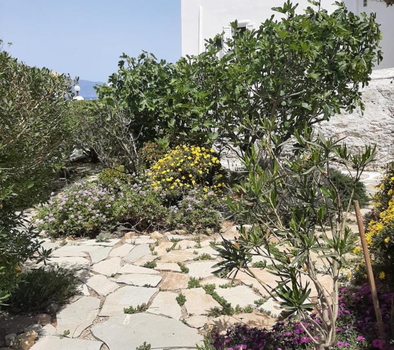 Photo of Others in Mykonos