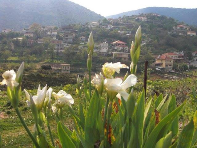 Photo of Others in Souli