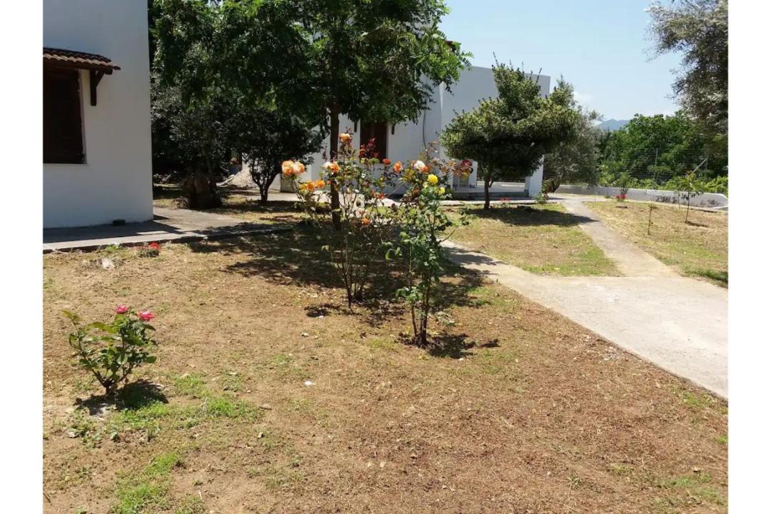Photo of Others in Edipsos