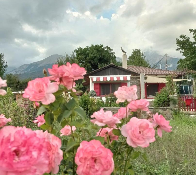 Photo of Others in Karpenisi