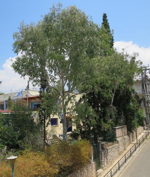 Photo of Others in Petralona