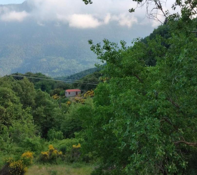 Photo of Outdoor in Kefalochori