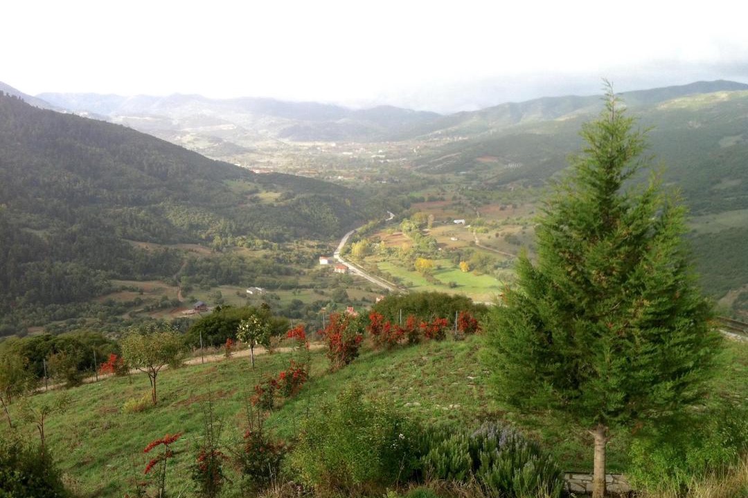 Photo of Outdoor in Kalavrita