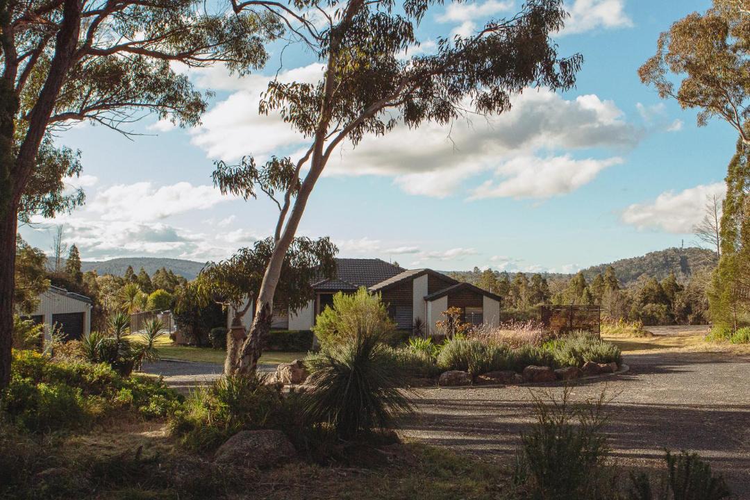 Photo of Others in Stanthorpe