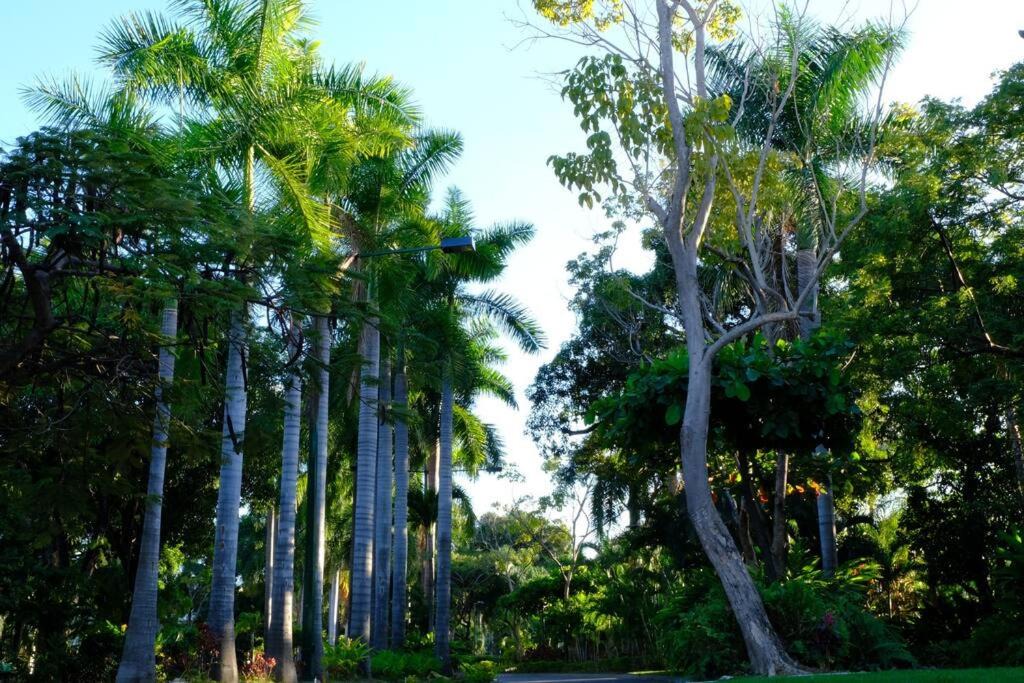 Photo of Others in Las Moras