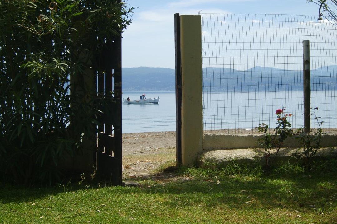 Photo of Others in Amarinthos