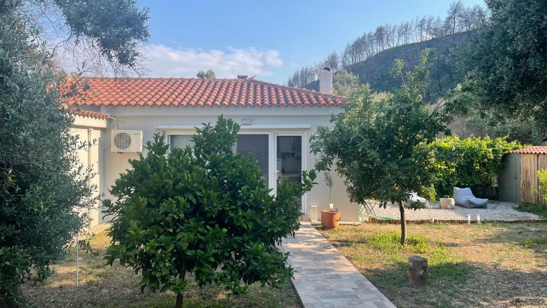 Photo of Buildings in Ayia Anna