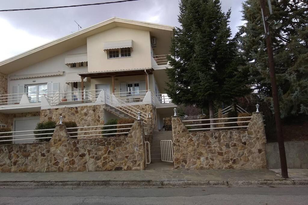 Photo of Others in Kozani