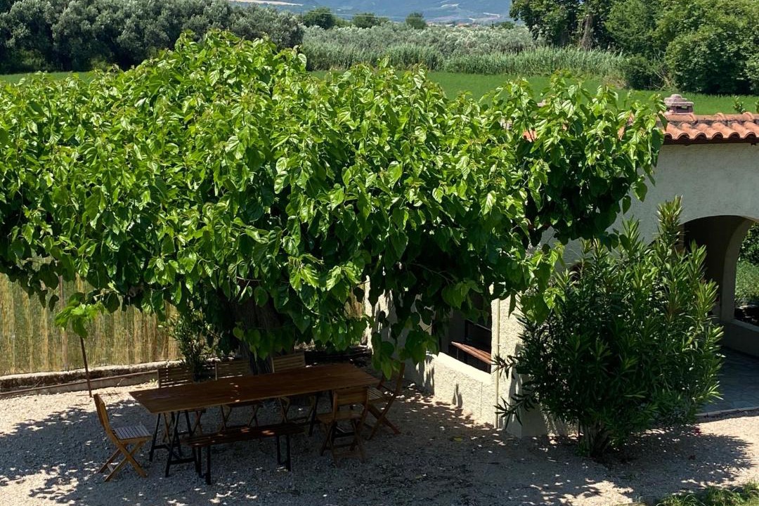 Photo of Others in Molos-Agios Konstantinos