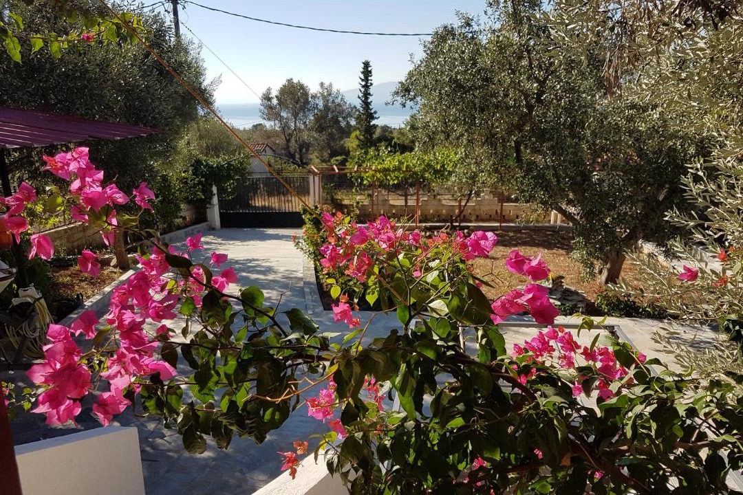 Photo of Others in Eretria