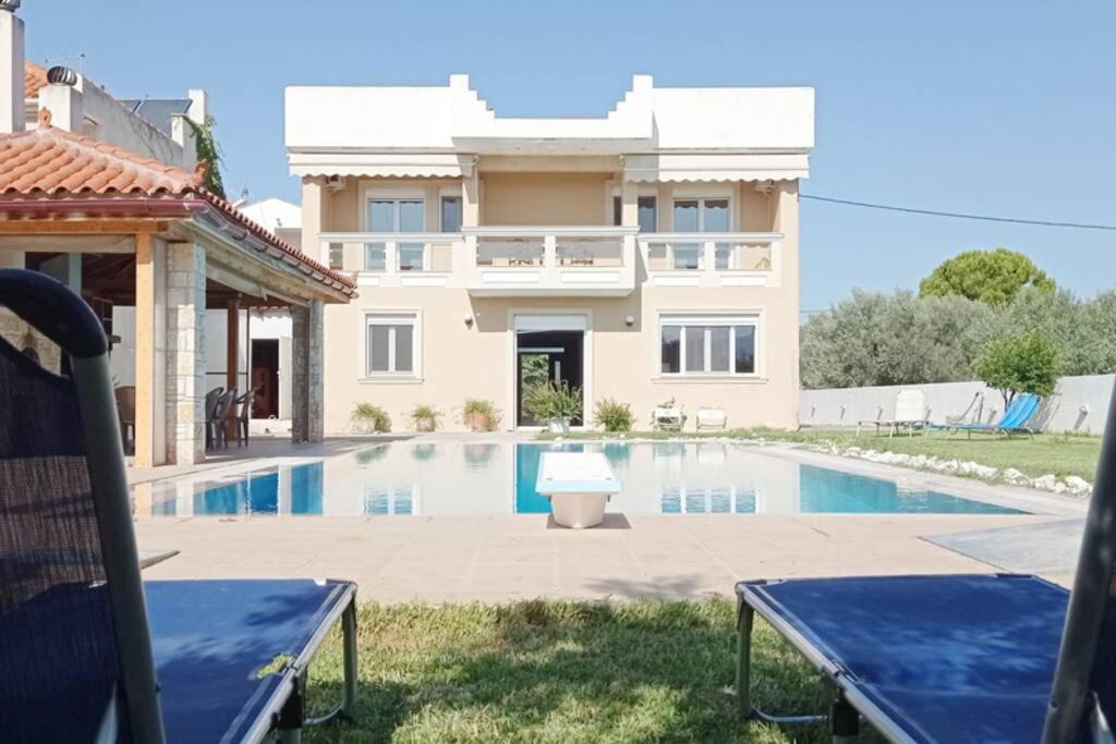 Photo of Others in Eretria