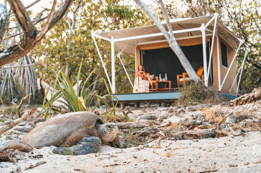 Photo of Others in Wilson Island