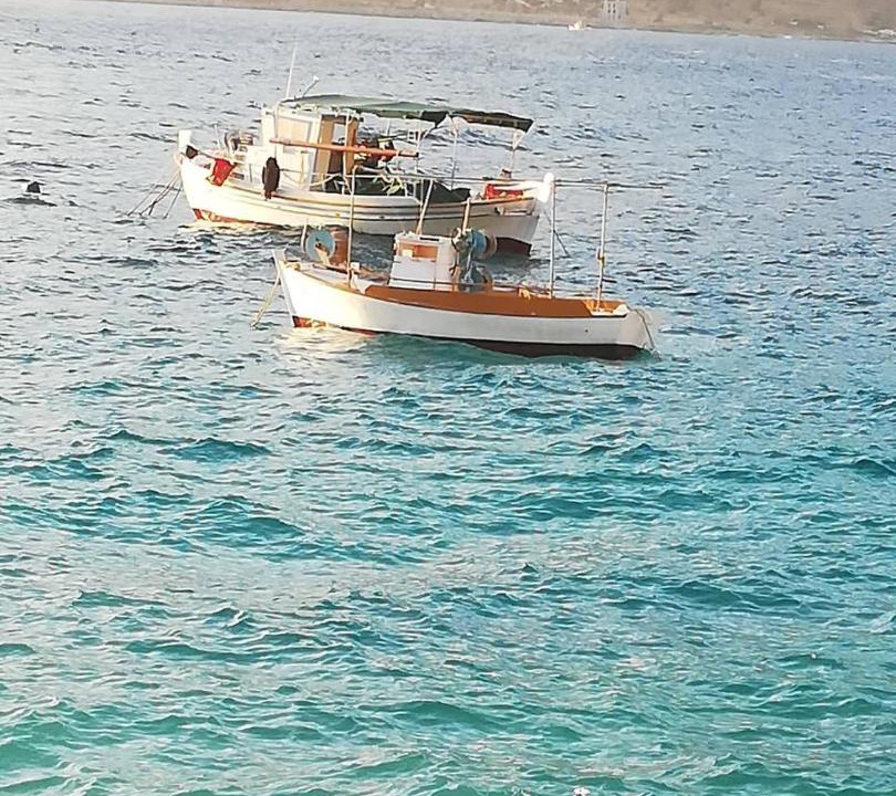 Photo of Others in Areopoli