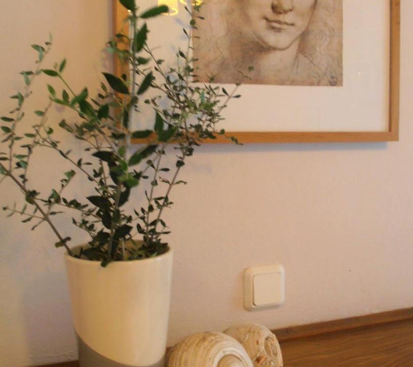 Photo of Others in Artemisio