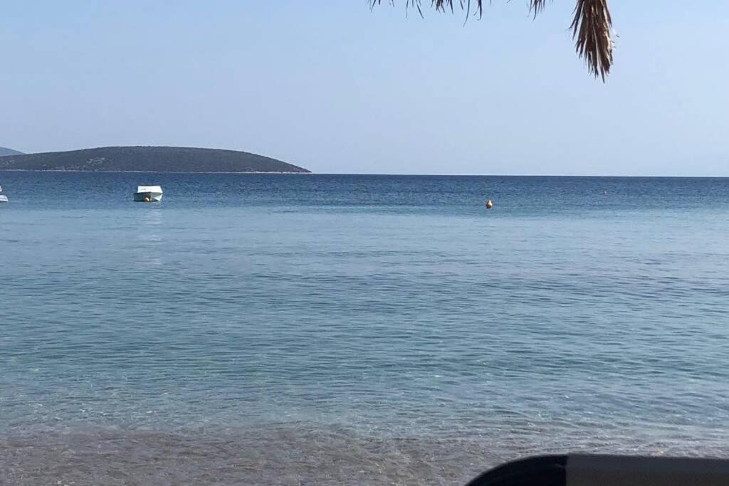 Photo of Others in Drepano