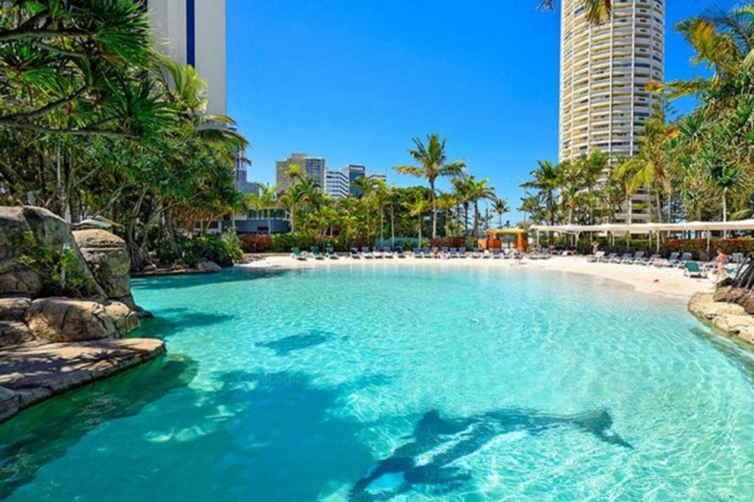 Photo of Others in Surfers Paradise