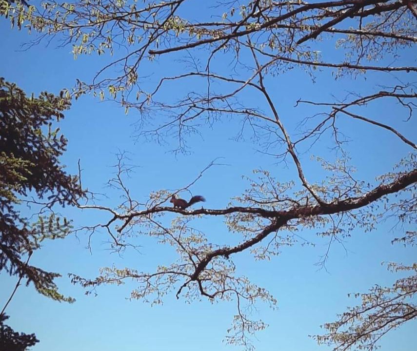 Photo of Outdoor in Amfikleia-Elateia