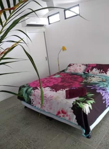 Photo of Bedroom in Wonga Beach