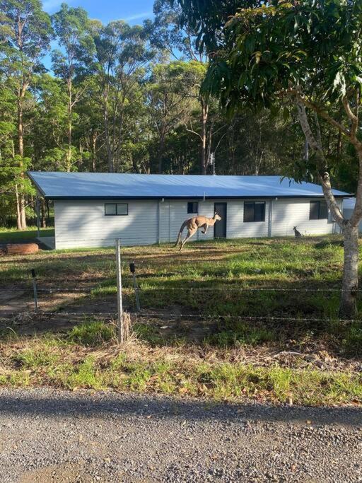 Photo of Buildings in Landsborough