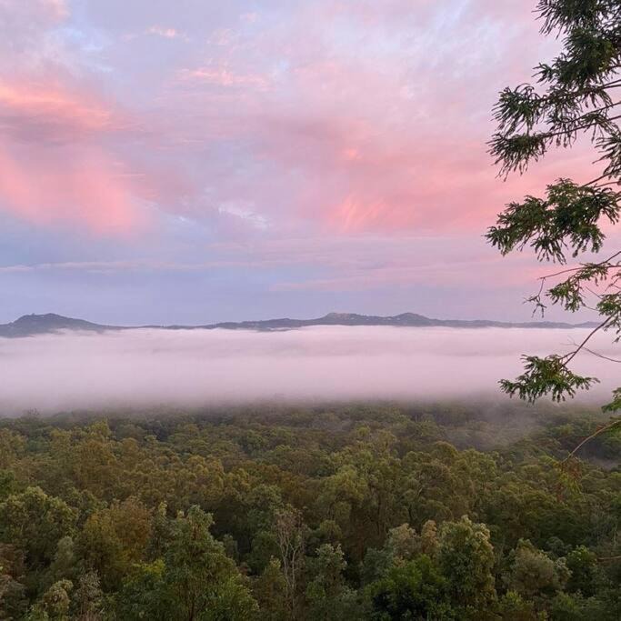 Photo of Others in Landsborough