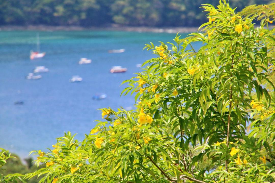 Photo of Outdoor in Playa Hermosa