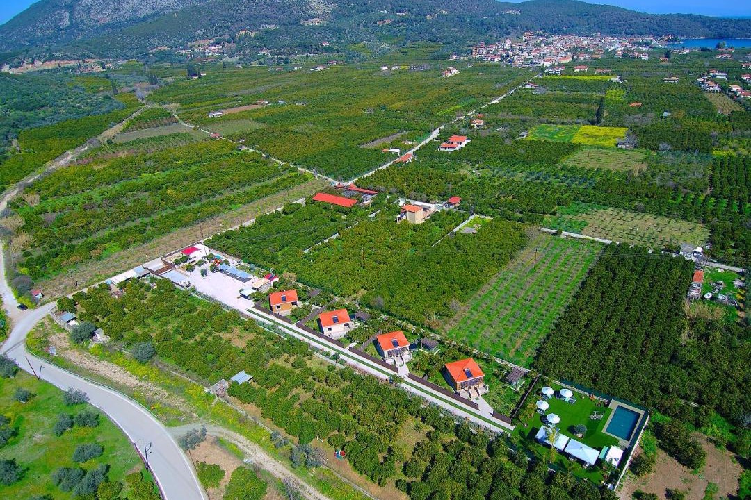 Photo of Others in Melissopetra