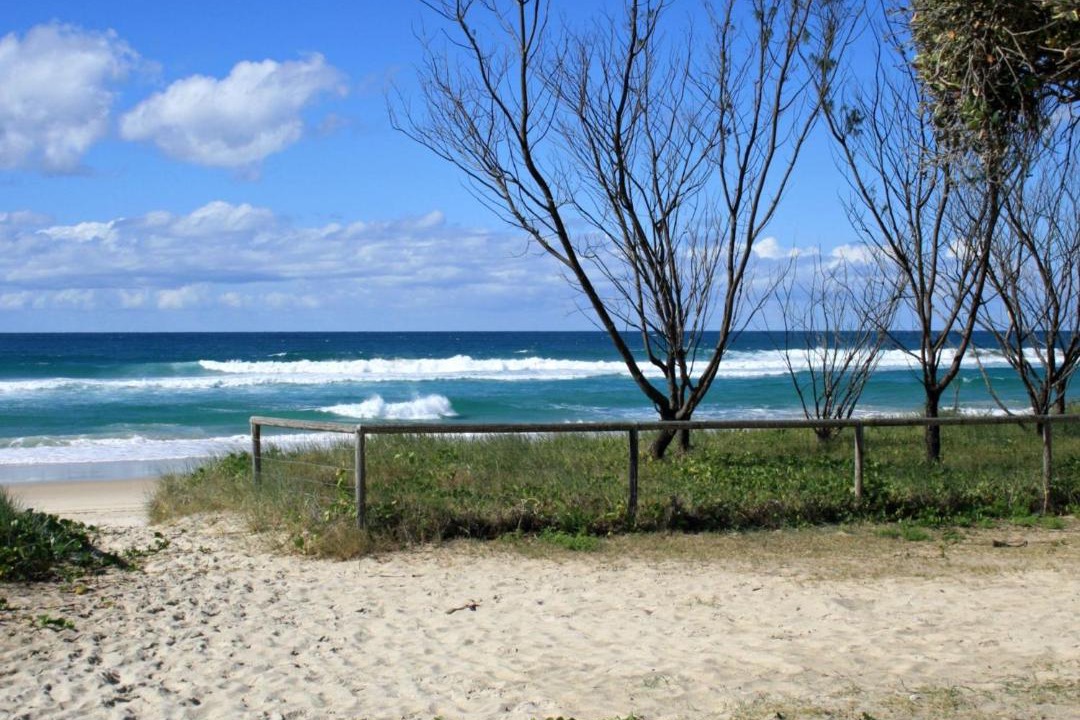 Photo of Others in Currumbin