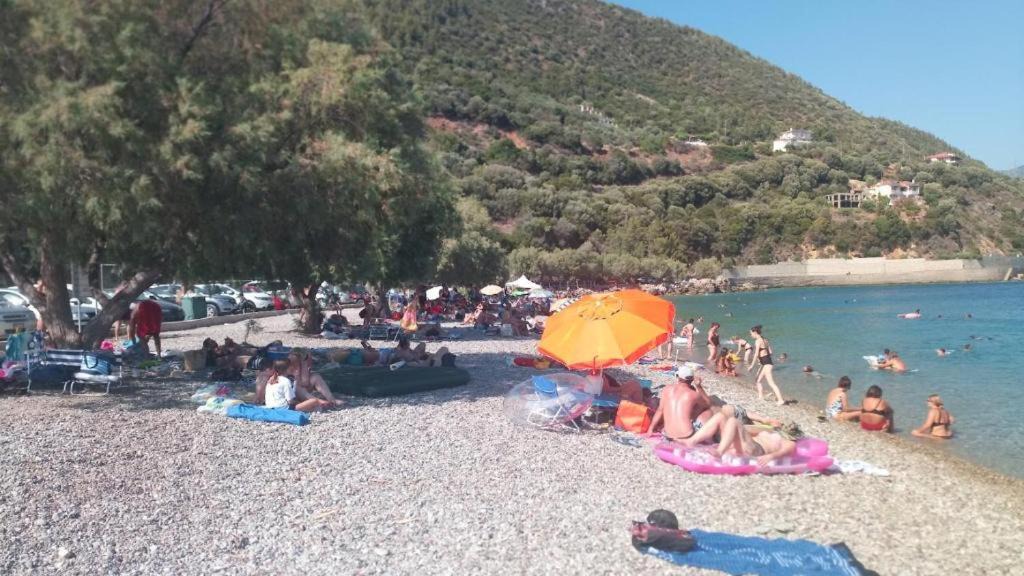Photo of Others in Nafpaktos