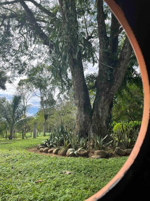 Photo of Others in La Palmeria