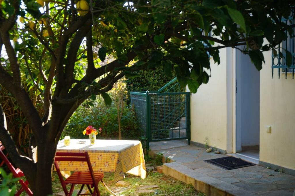 Photo of Patio Balcony in Anavyssos