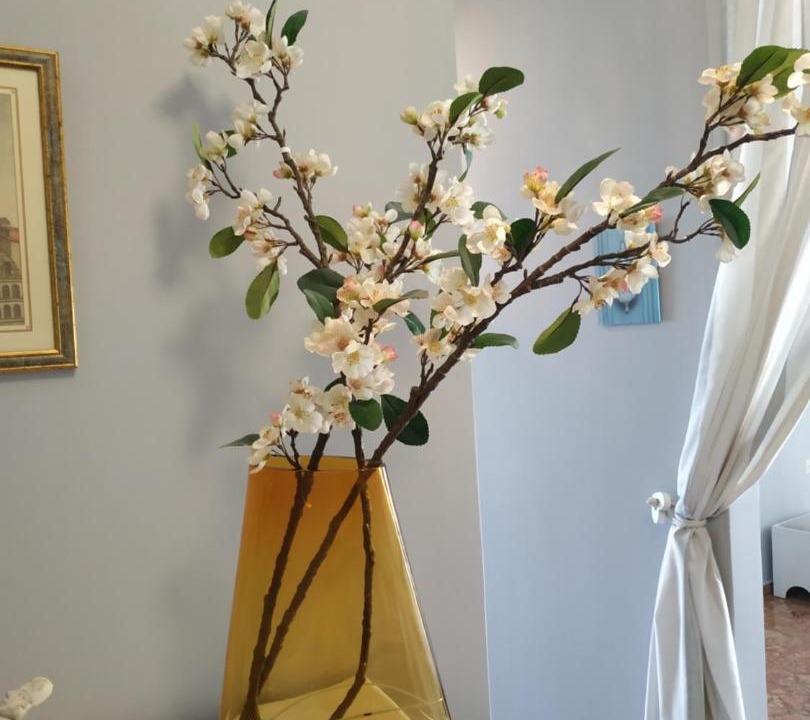 Photo of Livingroom in Kato Assos