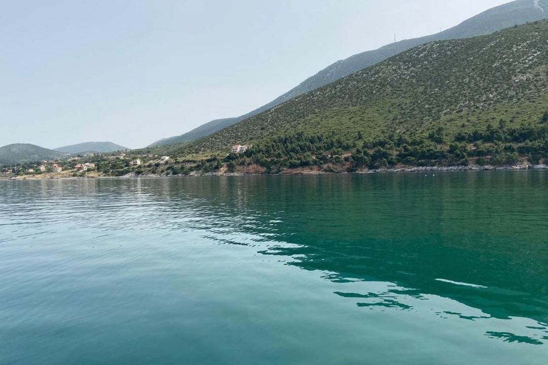 Photo of Others in Chalcis