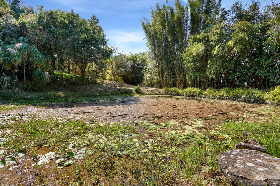 Photo of Outdoor in Buderim