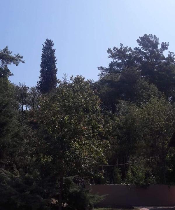 Photo of Outdoor in Trilofon