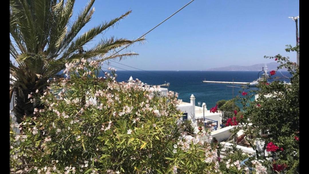 Photo of Others in Mykonos