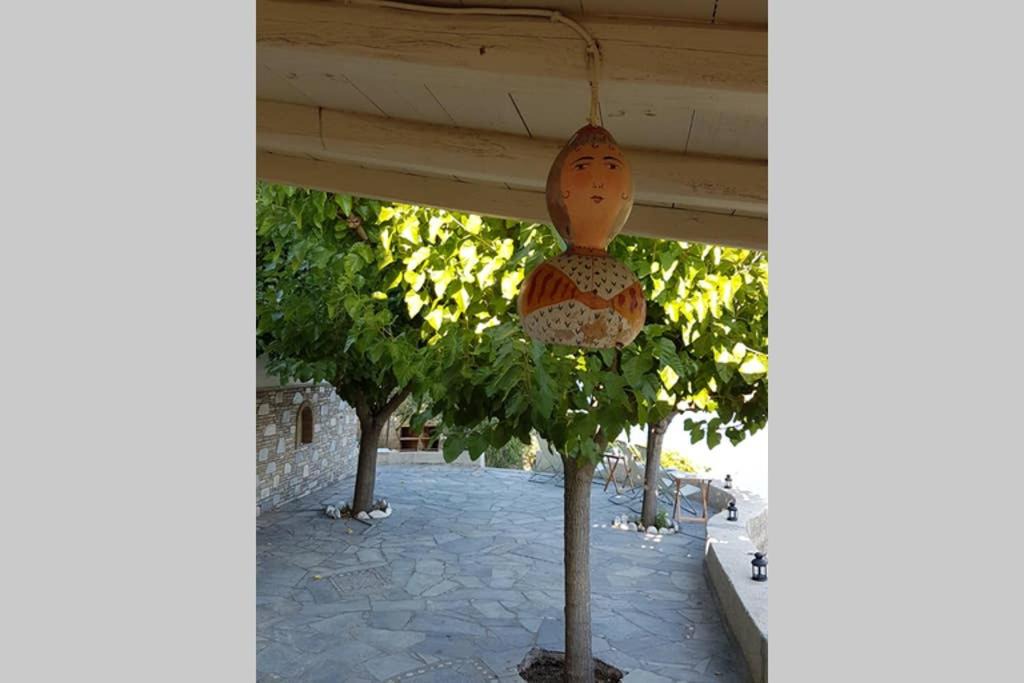 Photo of Others in Agios Petros
