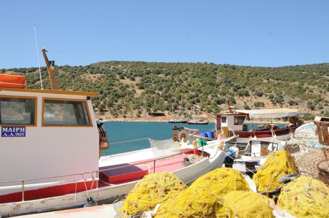 Photo of Others in Mpoufalo