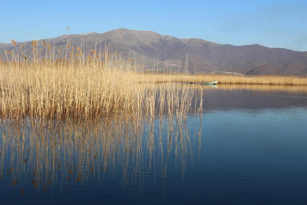 Photo of Others in Agios Germanos