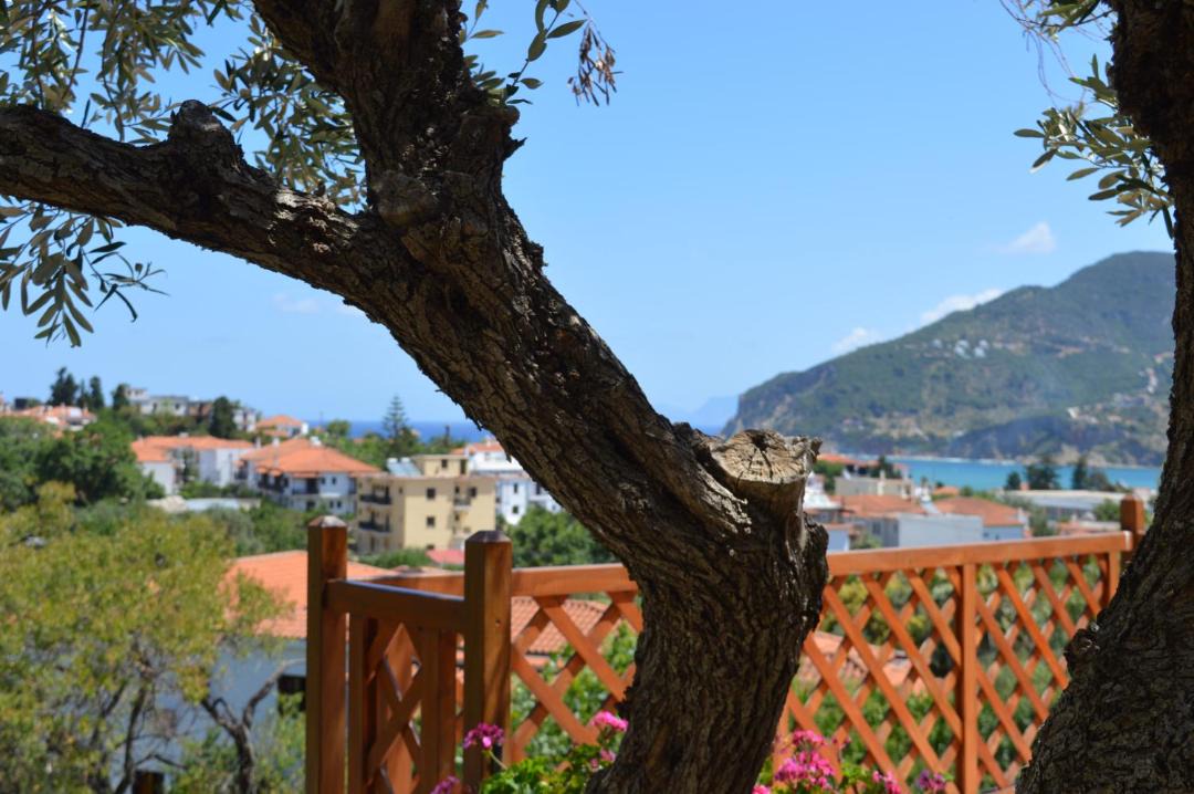 Photo of Others in Skopelos