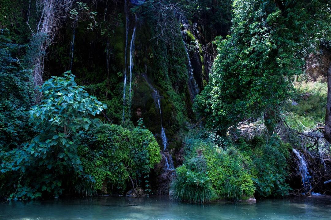 Photo of Outdoor in Archaia Olympia