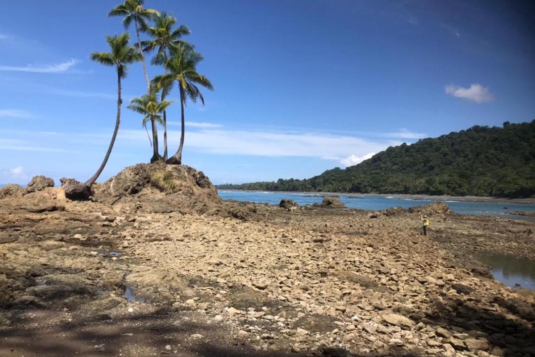Photo of Outdoor in Puerto Jimenez