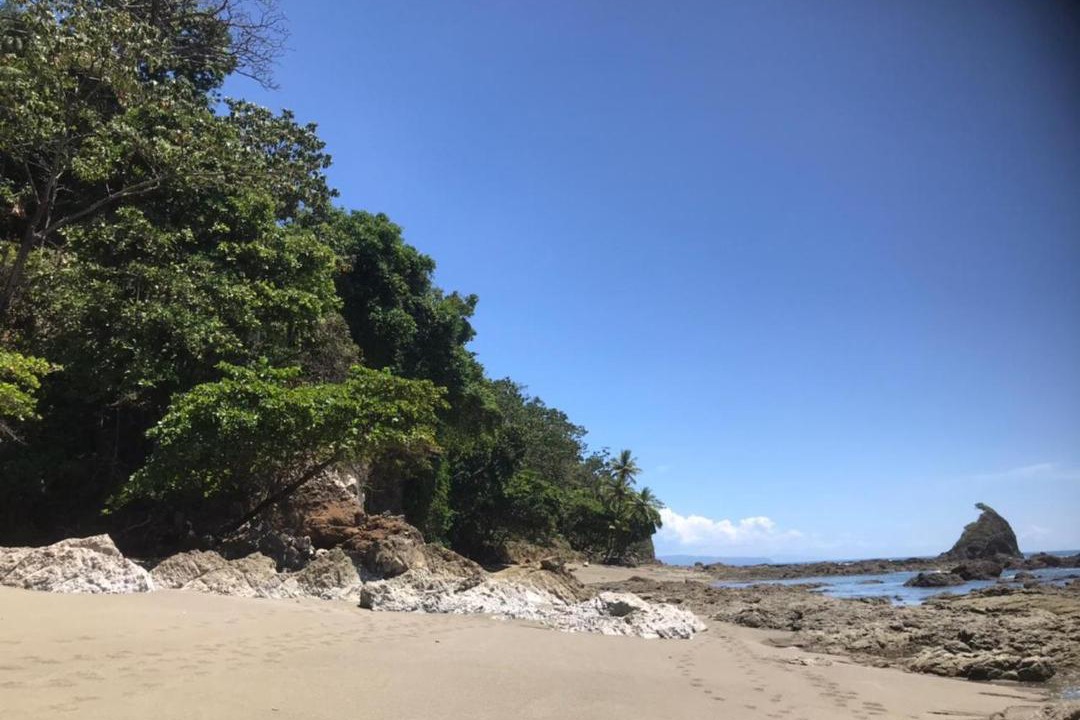 Photo of Outdoor in Puerto Jimenez