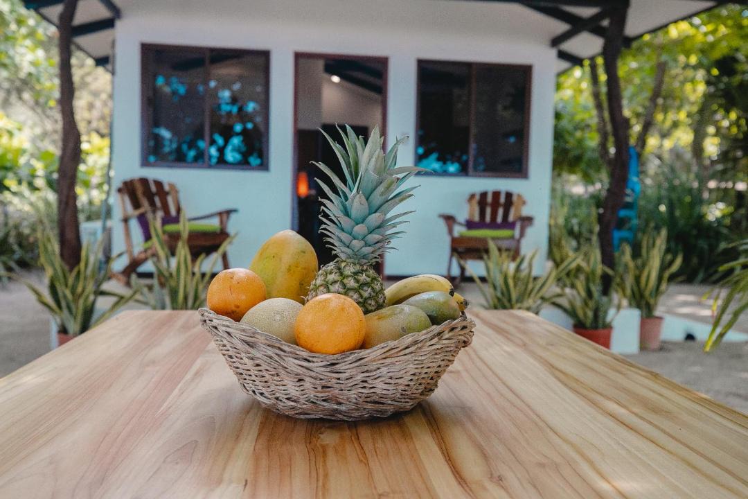 Photo of Livingroom in Playa Santa Teresa