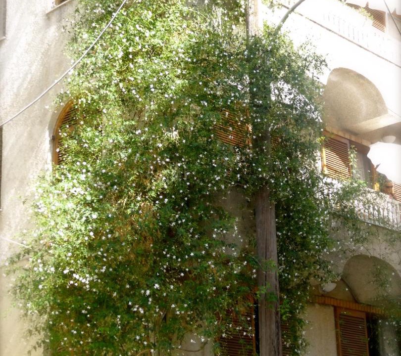Photo of Others in Loutra Edipsou