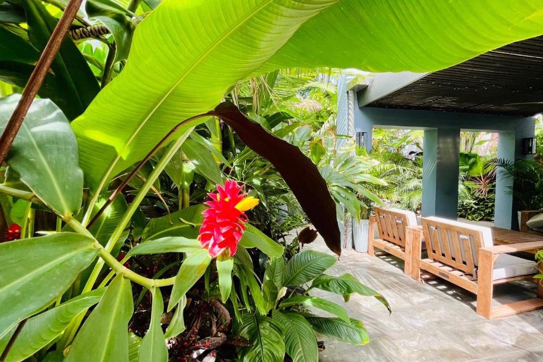 Photo of Patio Balcony in Clifton Beach