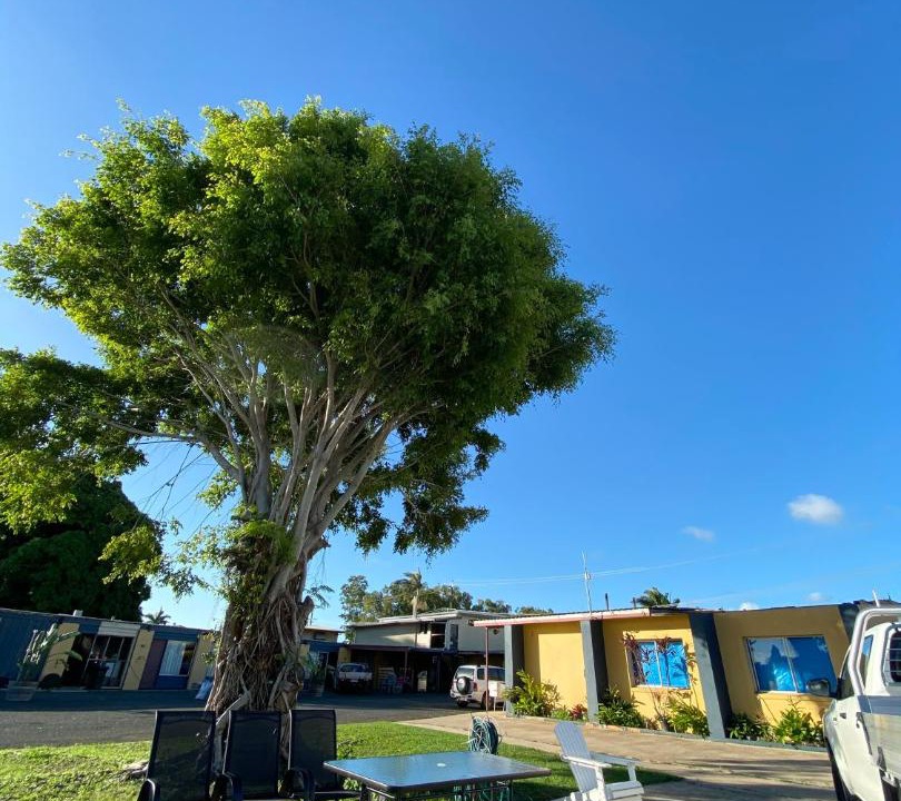 Photo of Outdoor in Proserpine