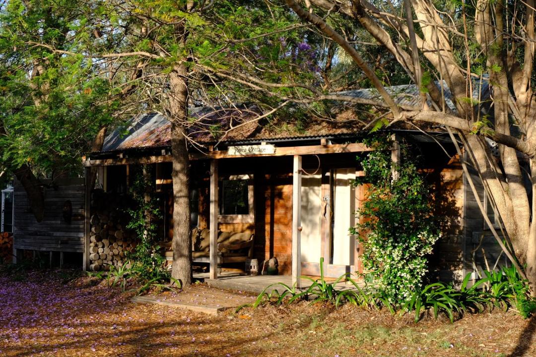 Photo of Others in Chinchilla